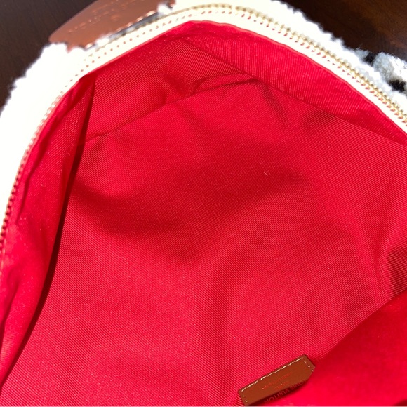 Louis Vuitton Teddy Mono Bumbag - Picture 12 of 14